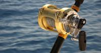 Best Baitcaster Reel Under 50 – Have Your Covered All the Aspec